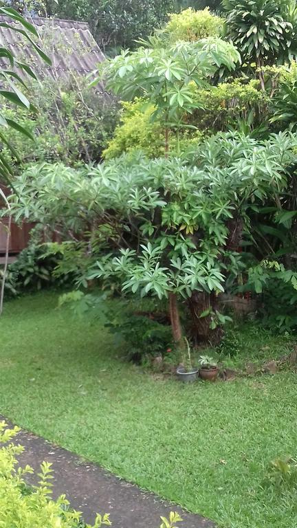Ning Ning Guesthouse Muang Ngoi Dış mekan fotoğraf