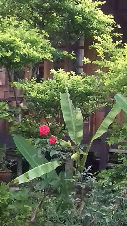Ning Ning Guesthouse Muang Ngoi Dış mekan fotoğraf
